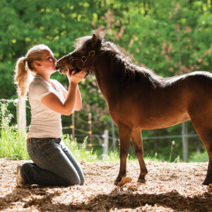 Miniature Horse