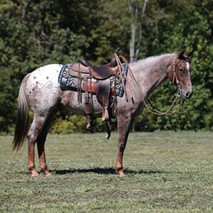 Apache