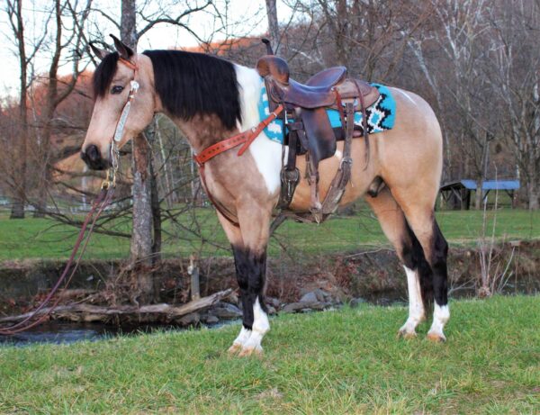 Buckshot