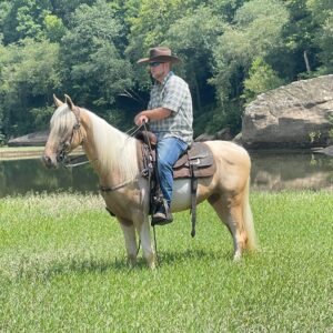 Cowboy
