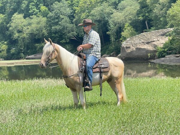 Cowboy