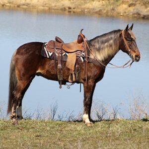 Indian Outlaw