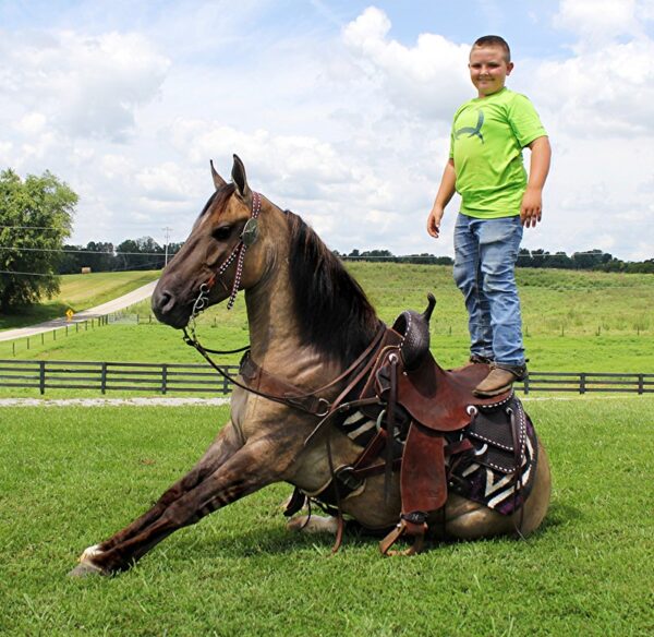 Smokey “The Wonder Horse”